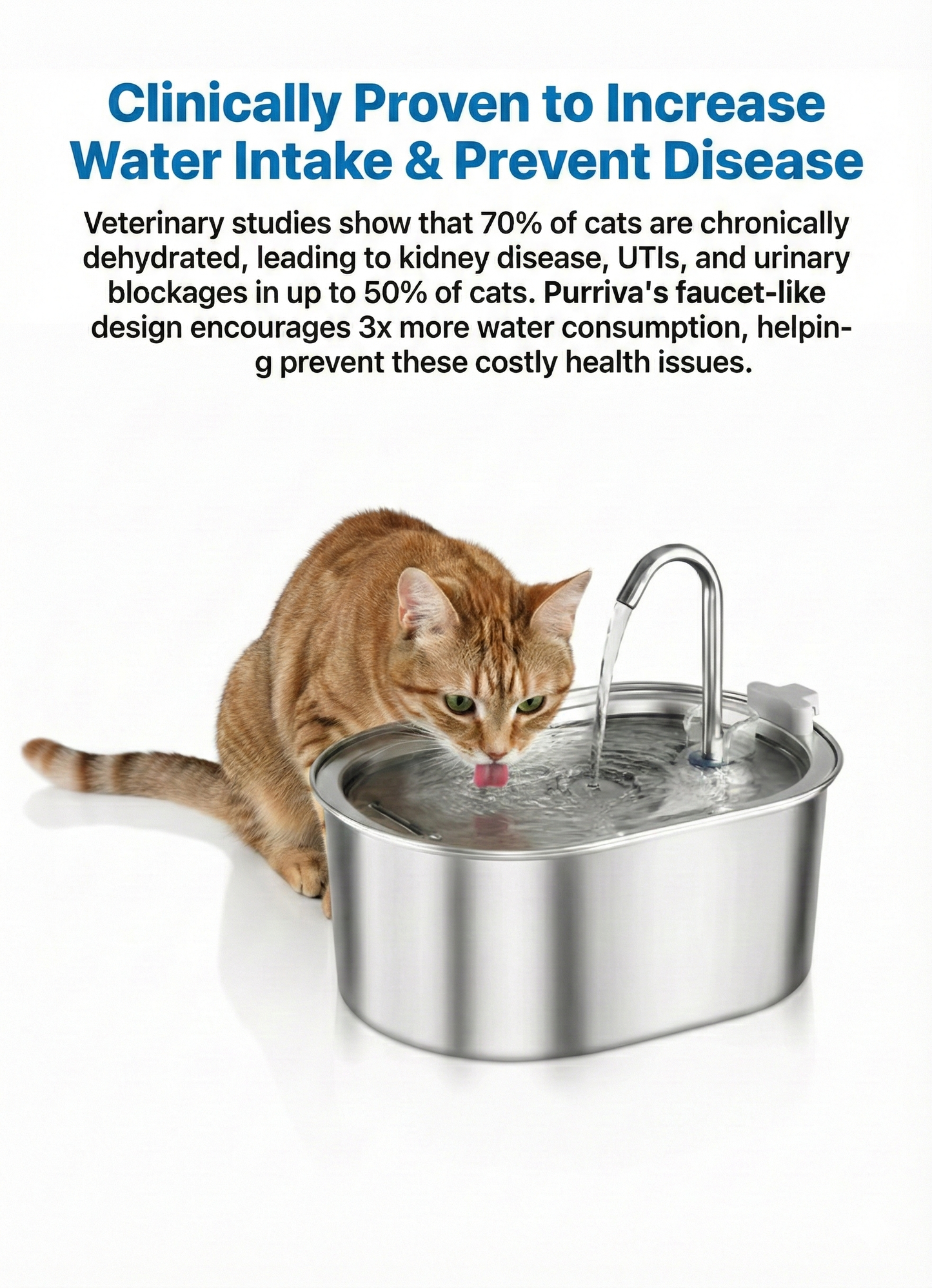 Purriva Water Fountain
