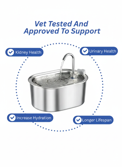 Purriva Water Fountain