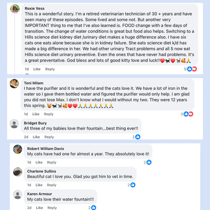 Purriva Water Fountain