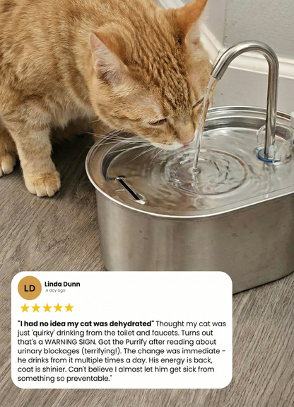 Purriva Water Fountain