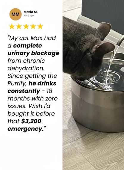 Purriva Water Fountain